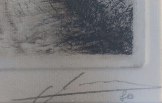 Image 1 of Albert de Vree