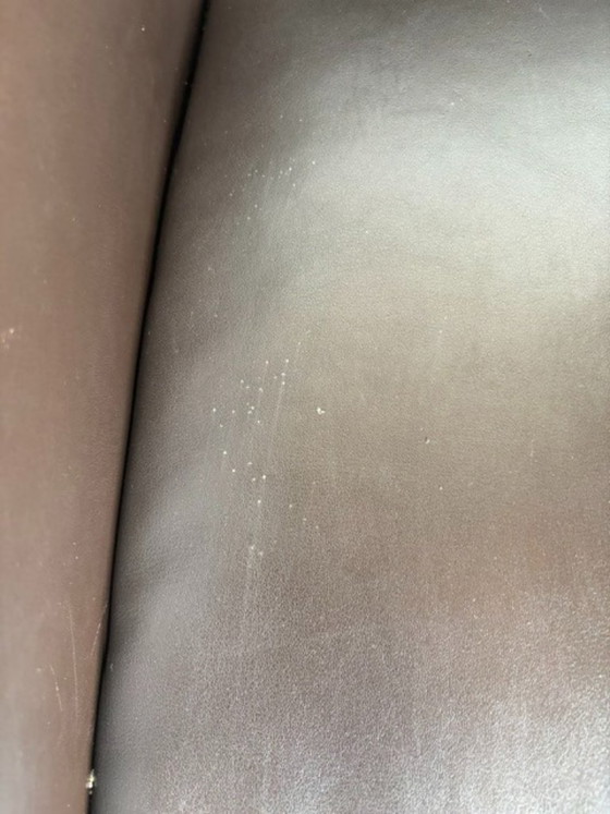 Poltrona Walter Knoll Elton in Pelle Marrone Cioccolato Premium – Poltrone, Leather (photo 6 of 7)