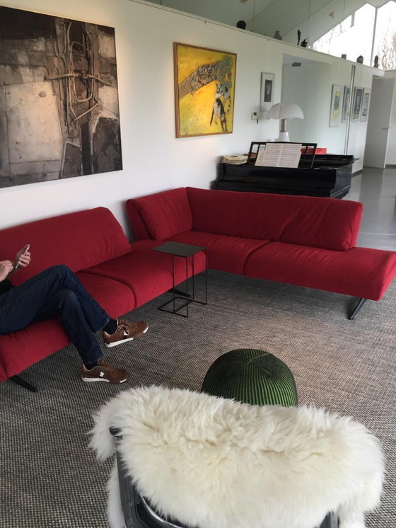 Image 1 of Divano Bundle di Walther Knoll