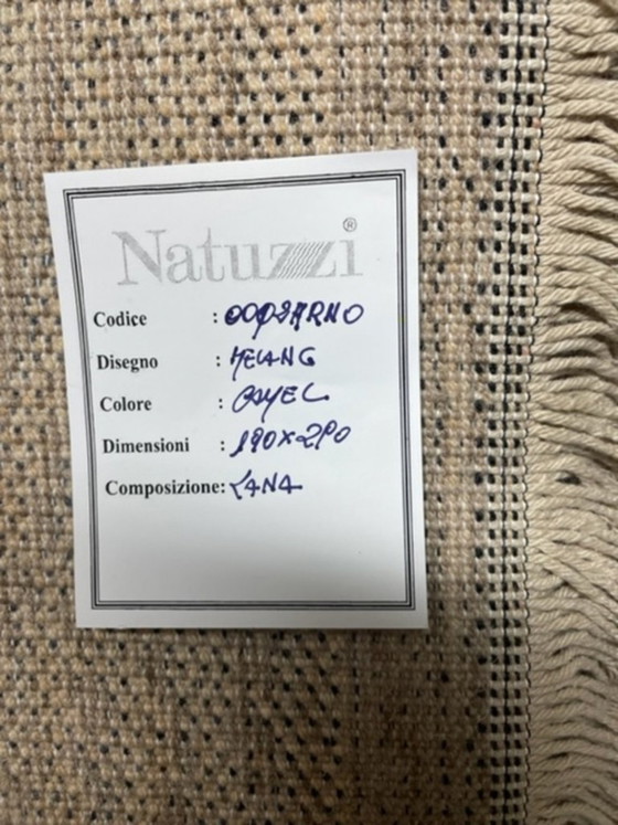 Image 1 of Alfombra de lana Natuzzi Nomad 190x290