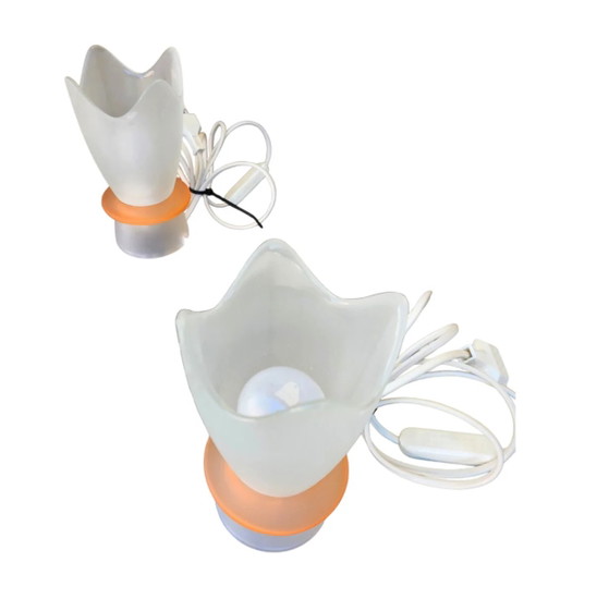 Coppia di Lampade da tavolo Villeroy & Boch a forma di tulipano con paralumi in vetro lattimo satinato, anni (photo 3 of 6)