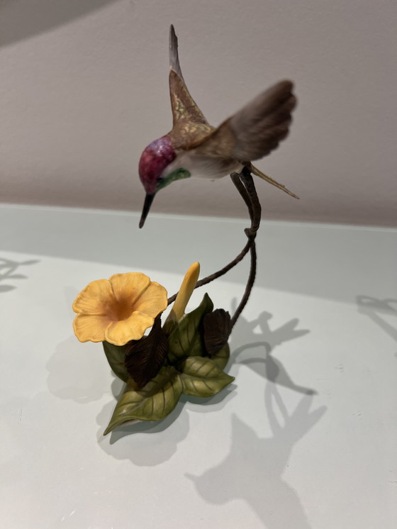 Image 1 of Alan Singer Franklin Kolibri / Hummingbird Porzellan