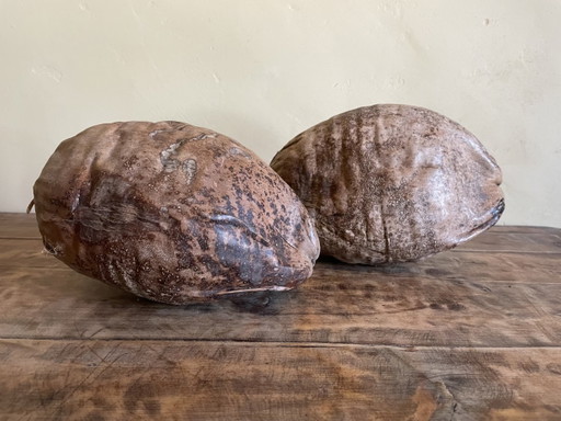 2 noci di cocco decorative 