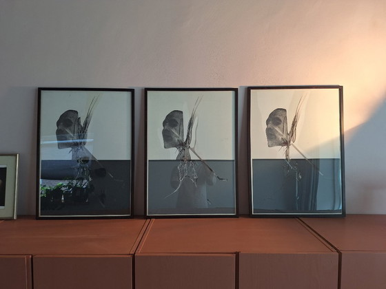 Image 1 of Darío Villalba - trittico seriografico