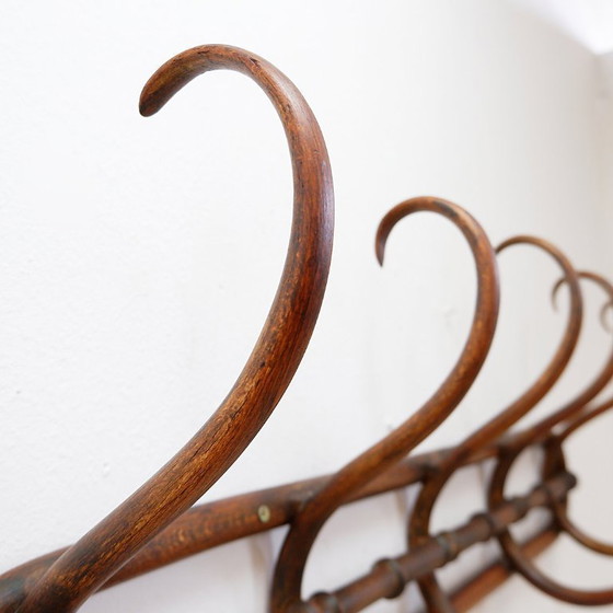 Image 1 of Wandkapstok van gebogen hout in Thonet-stijl – begin 20e eeuw