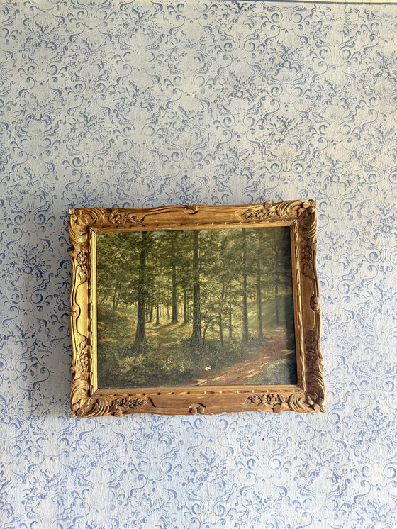 Image 1 of Paesaggio Dipinto interno foresta con luce contro jour 