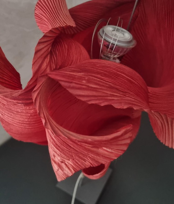 Image 1 of Ingo Maurer Kokoro Floor Lamp Red