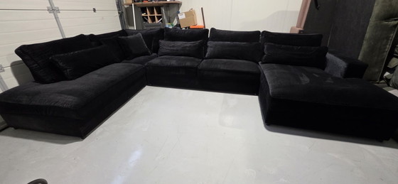 Stokroos Divano angolare black velvet croco, Divani angolari, Altro, Nero (foto 8 di 9)