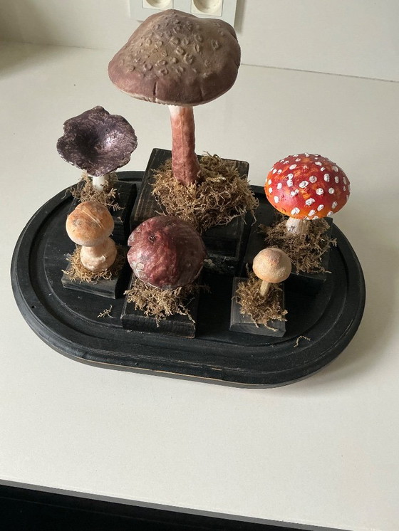 Image 1 of Antique bell jar with vintage educational mushrooms