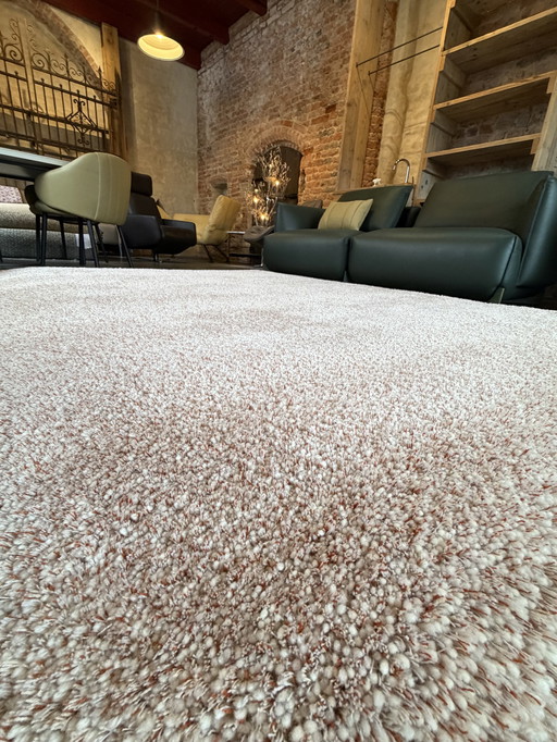 Alfombra Brink y Campman Sprout