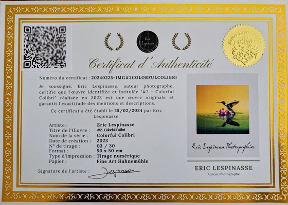 Image 1 of Eric LESPINASSES - Colorful Hummingbird - Artist's Lithograph