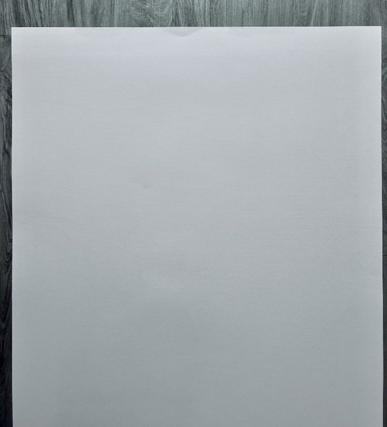 Image 1 of Serigrafía Eva van den Hamsvoort