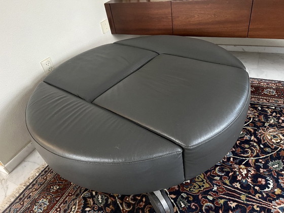 Image 1 of Leolux Pastille