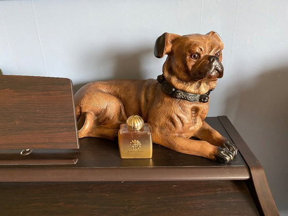 Image 1 of Bild eines Hundes