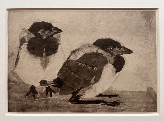 Image 1 of Jan Mankes 1889-1920 / Héliogravure originale 2 Jeunes Pies 1923