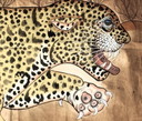 Enorme luipaard 184 cm x 118 cm. Handgeschilderd canvas uit India. Uniek.