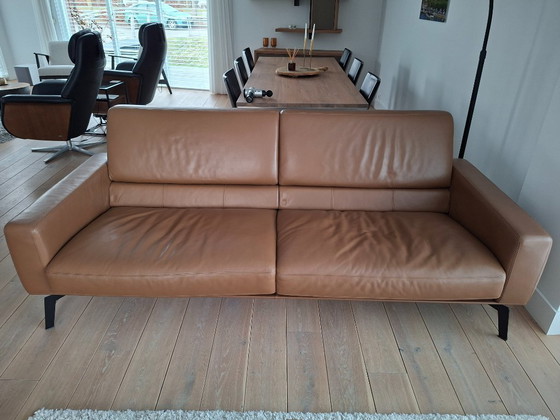 Image 1 of De Sede DS-87 Divano Donna marrone cognac