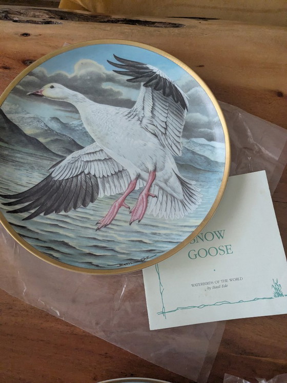 Image 1 of Basil Ede Oiseaux d'eau du monde, ensemble de 12 pièces avec système de suspension