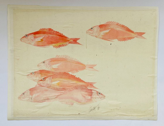 Image 1 of Poisson aquarelle vintage - Vivaneau rouge