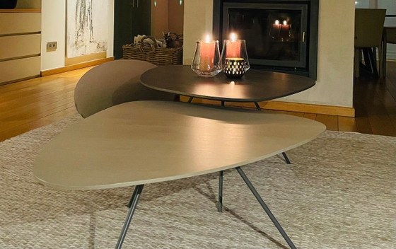 Tables basses Leolux, deux pièces, gris et beige, Bois, Métal, Modern (photo 4 sur 5)