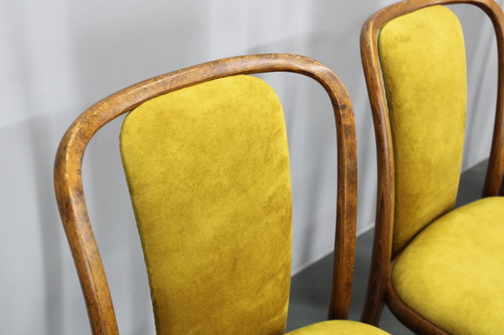 Image 1 of Juego de cuatro sillas de comedor de madera curvada de haya restauradas de la década de 1970, de TON, Checoslovaquia
