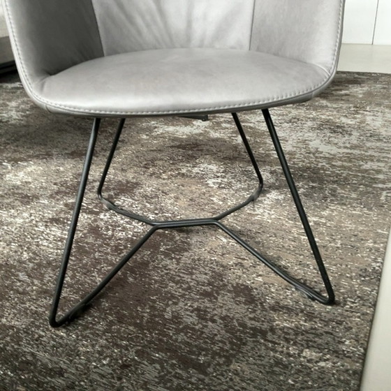 Image 1 of Sedia da pranzo Future Micka (set da 6)