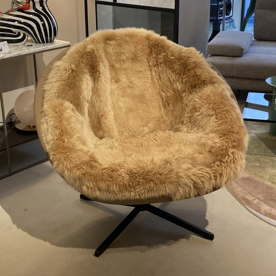 Image 1 of de Sede DS-265/01 Coco armchair