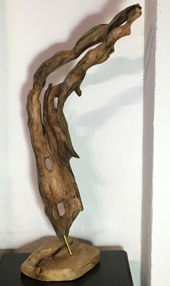 Sculture in legno organico chiamata "Alma del viento", Marrone, Organic Modern (foto 6 di 6)