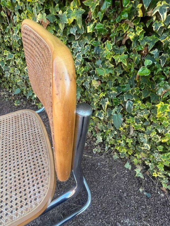 Image 1 of sedia in canna