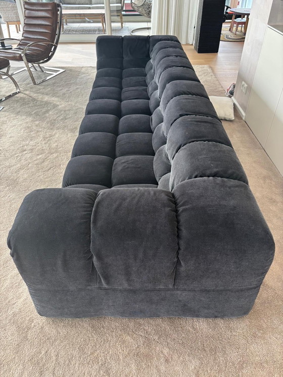 Image 1 of B&B italia tufty time sofa