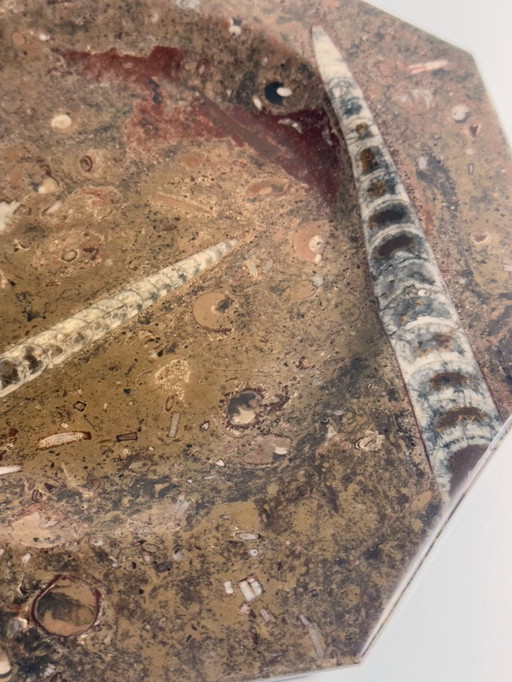 Vintage Fossilien Marmor Teller Platte Schale Oktagon Orthoceras Ammonit Poliert Stein