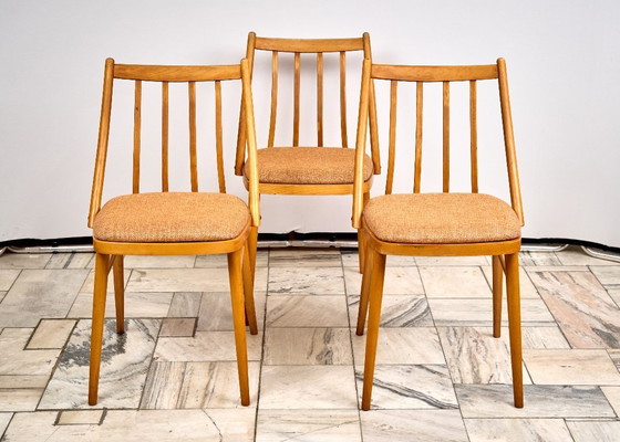 Image 1 of Set van 3 eetkamerstoelen van A. Suman, jaren 60, Tsjechoslowakije