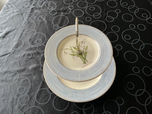 Estantería Wedgwood Jardín de Sarah Campanilla de invierno