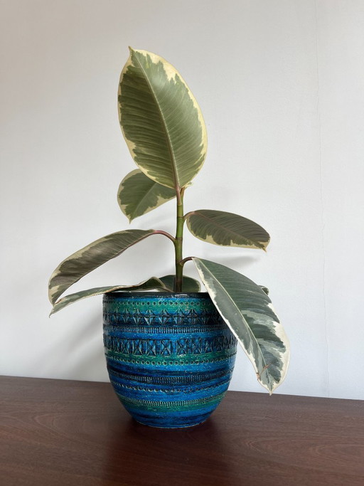 Bitossi bloempot - Rimini Blue, Aldo Londi