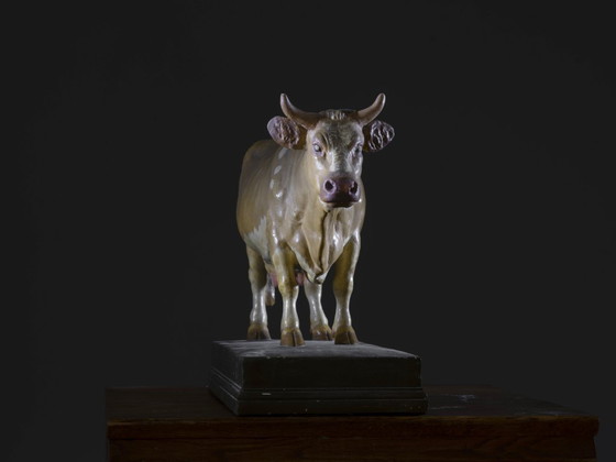 Image 1 of Modelo de vaca, Max Landsberg, 1881, Alemania