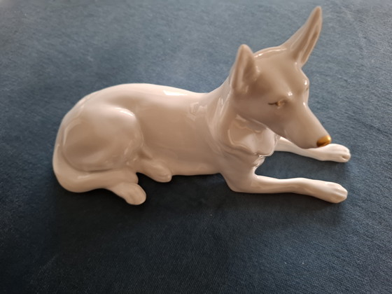 Image 1 of Chien de berger de Hongrie Hollohaza