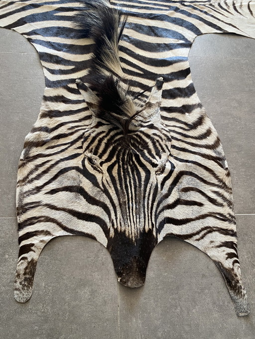 Zebrahaut