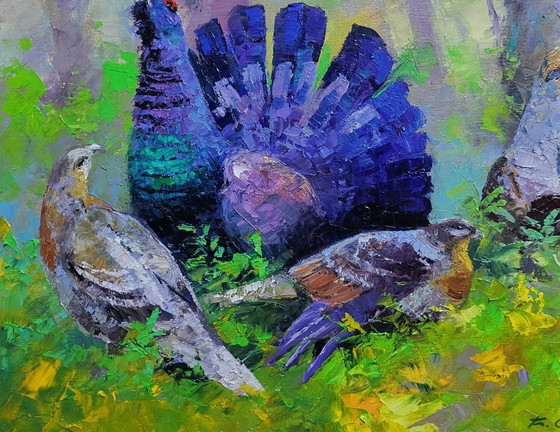 Image 1 of Black grouse in the summer forest