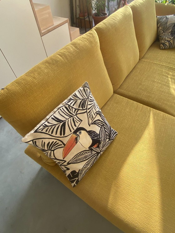 Image 1 of Designer armchair with adjustable parts