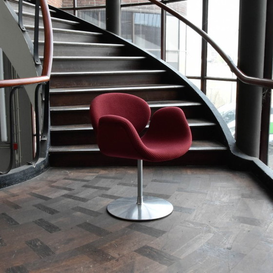 Artifort Little Tulip chair, Dining chairs, Textile, Metal, Red, Modern (photo 2 of 8)