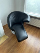 Poltrona girevole Leolux Parabolica in pelle