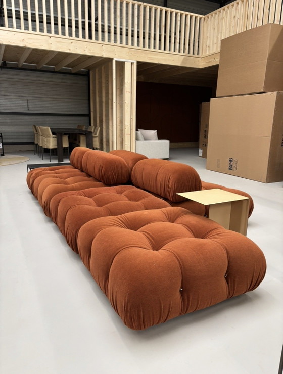 B&B Italia Camaleonda Licata 333 Terracotta Velluto e Pelle – Divani modulari, Textile (photo 9 of 15)