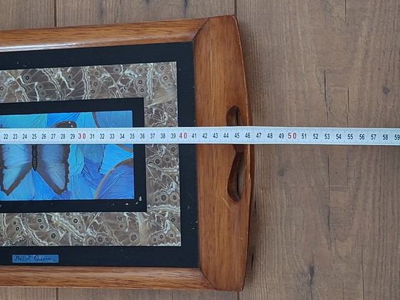 Vassoio Antico Ali di Farfalla Guyana Britannica – Farfalla Morpho – Oggetti decorativi, Vetro, Legno (photo 6 of 7)