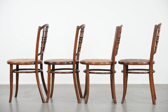 Image 1 of 4 x Wooden vintage bistro chair Jacob & Josef Kohn Wien with a wicker seat