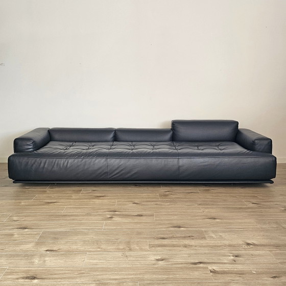 Divano Zanotta Shiki L292 – Divani, Leather, Metal (photo 6 of 13)