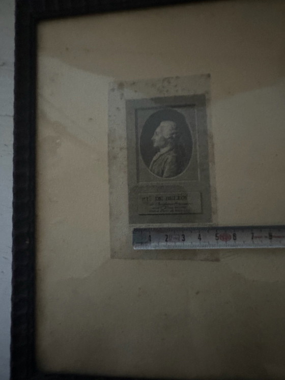 18th Century Engraving, Pierre-Laurent de Belloy, Delvaux, Framed, Art Prints, Wood, Paper, White (photo 15 of 15)