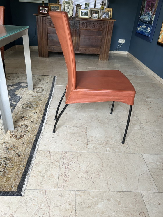 8 x Marchio Spica’s Montis – Sedie da pranzo, Leather (photo 2 of 5)