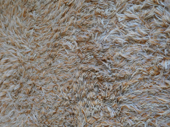 Image 1 of Karpet Danskina