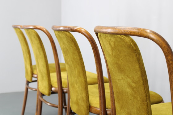 Image 1 of Juego de cuatro sillas de comedor de madera curvada de haya restauradas de la década de 1970, de TON, Checoslovaquia