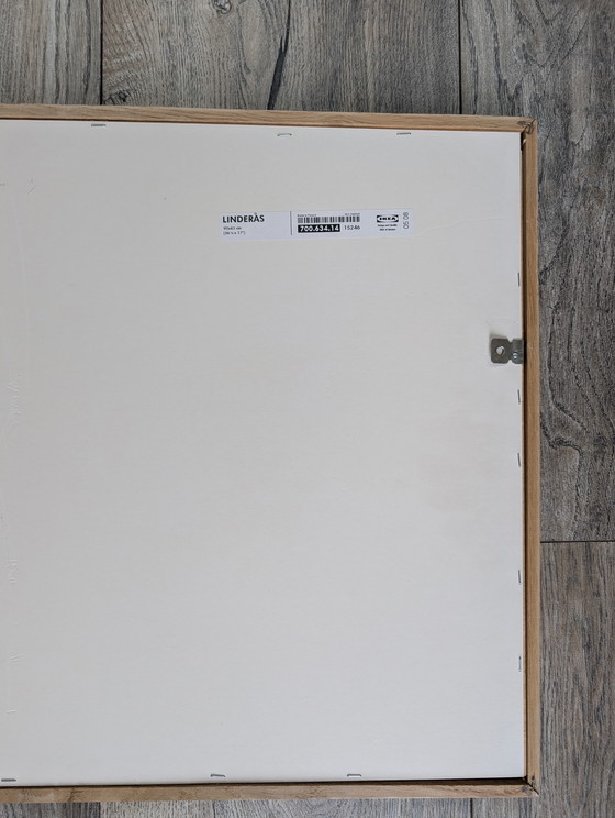 Image 1 of RARE Vintage IKEA LINDERÅS shadow box framed art of  watercoloured JAPANESE nudes from the 90s